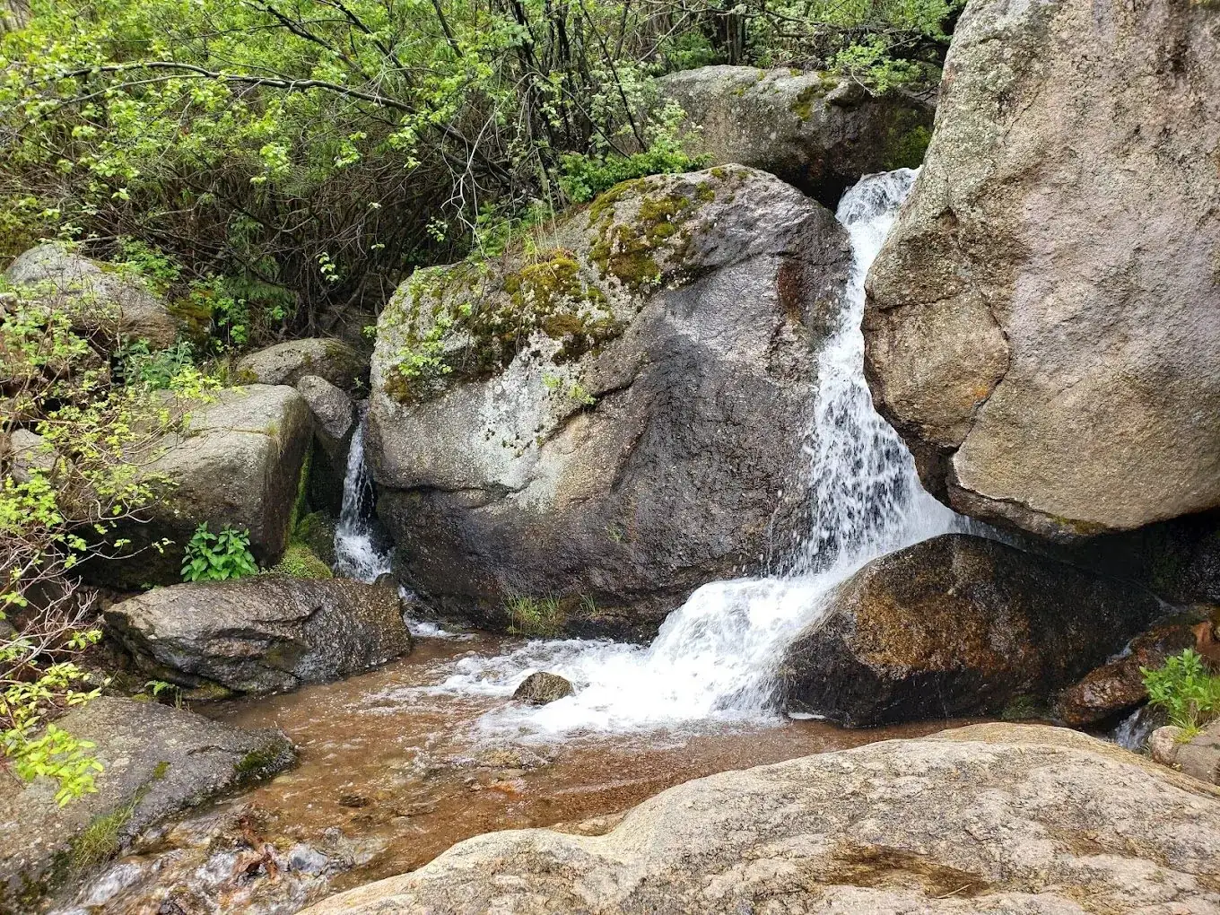 Catamount Trailhead